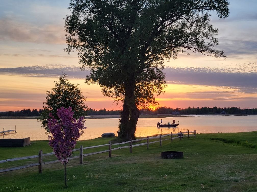 The shoreline in spring, with lilacs blooming and a boat out on the water.
