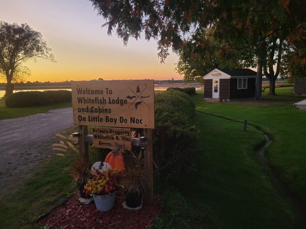 Our carved welcome sign surrounded by flowers in autumn.